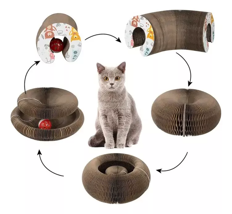 Rascador De Gatos, Catcordio