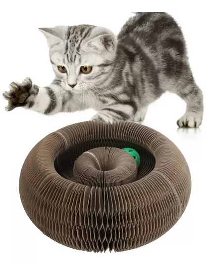 Rascador De Gatos, Catcordio